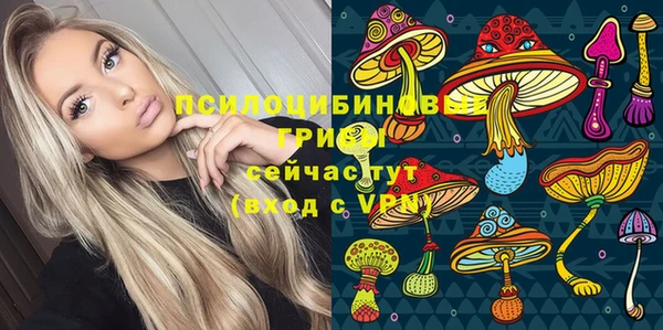 спайс Алзамай