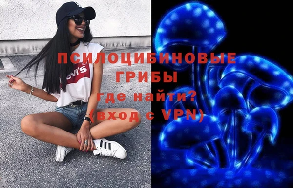 спайс Алзамай