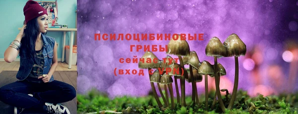 соль курить ск Алексеевка